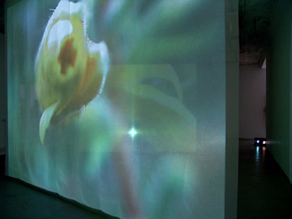 one night 
Video Installation und Fotografie von Claudio Magoni und Ursula Bohren Magoni